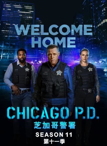 2024年美剧《芝加哥警署 第十一季》全13集