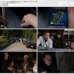 2008年美国经典科幻片《灭顶之灾》蓝光中英双字